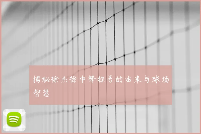 揭秘徐杰徐中锋称号的由来与球场智慧