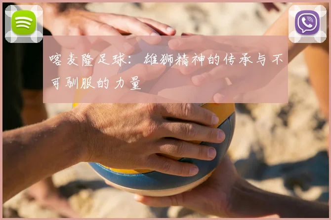 喀麦隆足球：雄狮精神的传承与不可驯服的力量